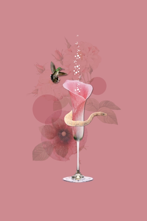 Print Beautiful Garden | 🦋LATO